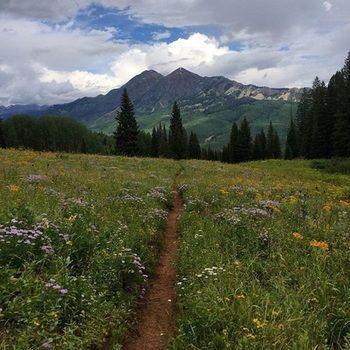 San Moritz Condominiums Mount Crested Butte Dış mekan fotoğraf